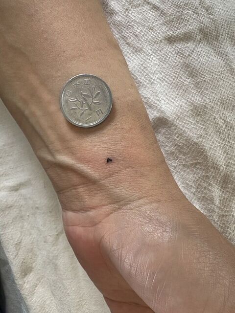 girls120(BiBi)更新しました☺ご覧ください☺