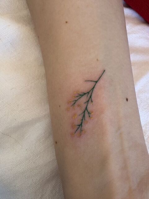 Girls127(BiBi)更新しました☺ご覧ください☺