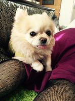 blog 更新しました！！