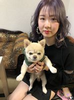 守護神鑑定art セラピーからレイキヒーリングへ