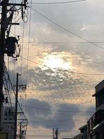 空は今日も青いです！