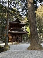 長野県出張とペイントについて