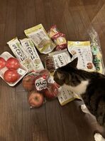 長野県出張とペイントについて