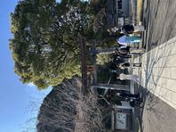 春分の日は実家でお彼岸
