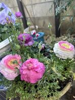 春分の日は実家でお彼岸