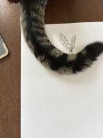 明けましておめでとう御座います🎊（BiBi）