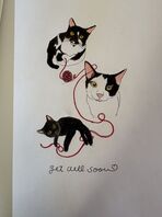 明けましておめでとう御座います🎊（BiBi）