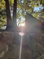 天赦日　ただ導かれるだけ（BiBi）