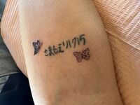 腕tattoo　2匹の蝶