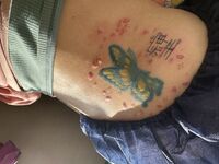 可愛いtattooを宿してもらって 大満足です