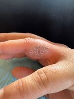 リピ様　ホワイトヤドカリ
