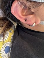 耳Tattoo　肉球とダイヤモンド