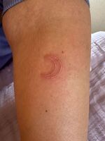 腕・ふくらはぎTattoo　月と太陽