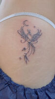 肩Tattoo　鳥と鶴