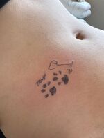 腕・お腹Tattoo　犬　前向きに