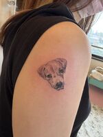 腕・お腹Tattoo　犬　前向きに
