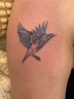腕Tattoo　青い鳥　凄く幸せくれました