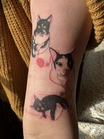 腕Tattoo　猫ちゃん　掛川から