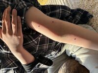 腕＆耳裏Tattoo　星と花